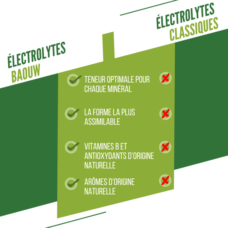 Baouw Citron Vert-Menthe - Energiedrank | Hardloop
