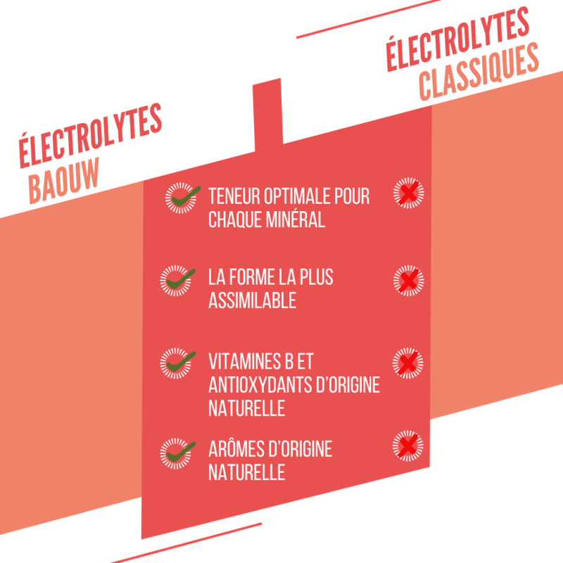 Baouw Pêche-Passion - Bebida energética | Hardloop