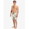 Quiksilver Surfsilk Scallop 18" - Boardshorts - Men's | Hardloop