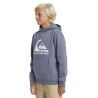 Quiksilver Big Logo - Hoodie - Kind | Hardloop
