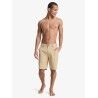 Quiksilver Union 20" - Shorts - Herr | Hardloop