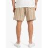 Quiksilver Taxer 18" - Shorts - Herren | Hardloop