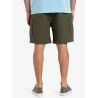 Quiksilver Taxer 19" - Pantaloncini - Uomo | Hardloop