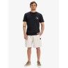Quiksilver Taxer 19" - Shorts - Herren | Hardloop