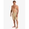 Quiksilver Half 19" - Shorts - Herren | Hardloop