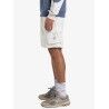 Quiksilver Mercury 18" - Shorts - Herren | Hardloop