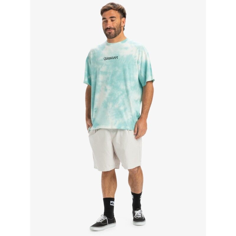 Quiksilver Td Frog Ritual SS - T-shirt - Herrer | Hardloop