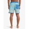 Quiksilver Surfsilk Scallop 16" - Strój kąpielowy | Hardloop