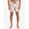 Quiksilver Everyday Straight 15" - Badeshorts | Hardloop