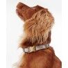 Barbour Reflective Tartan Dog Collar - Collier pour chien | Hardloop