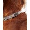 Barbour Reflective Tartan Dog Collar - Collier pour chien | Hardloop