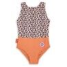 Leopard / Camel
