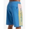 Quiksilver Surfsilk Holmes 20" - Boardshorts - Herren | Hardloop