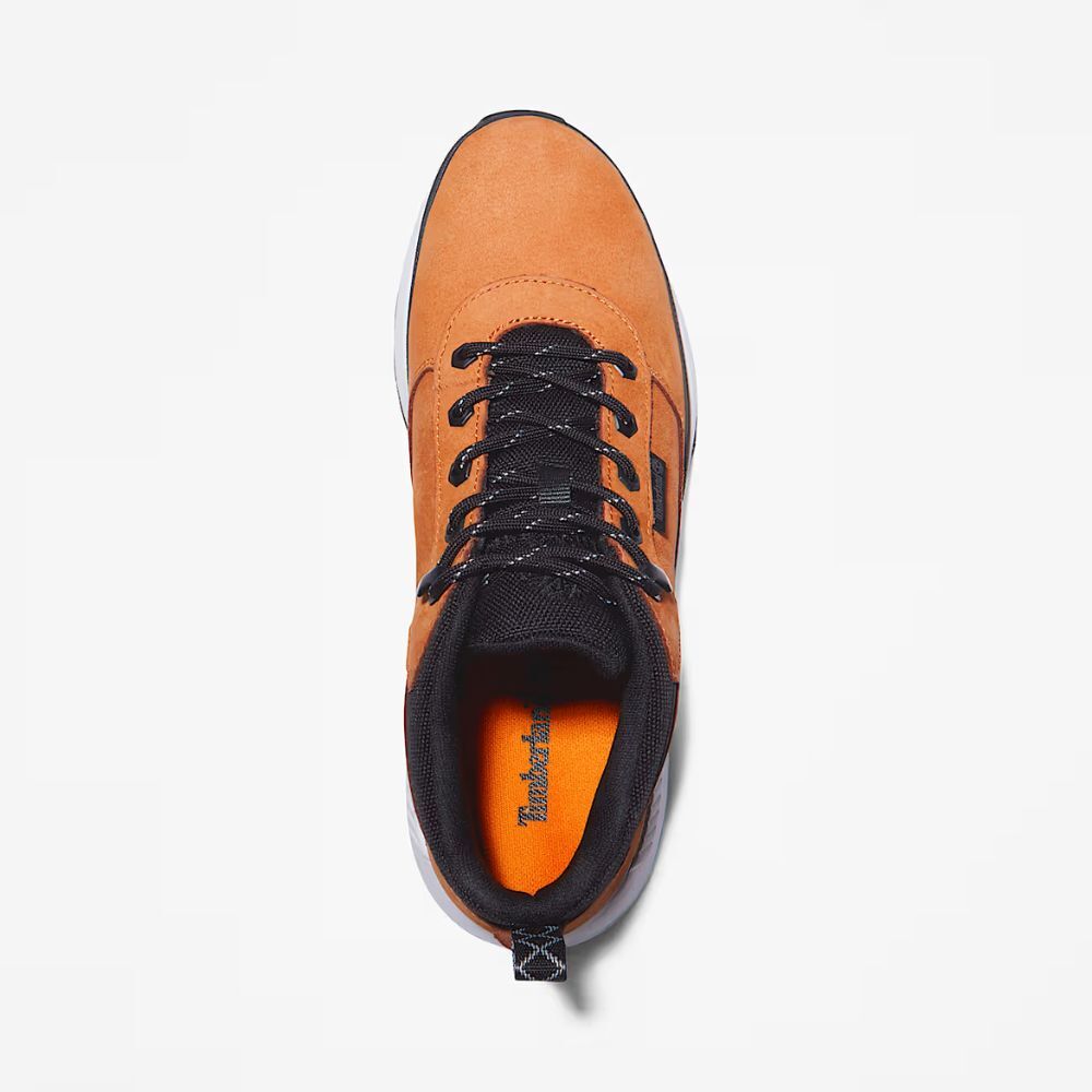 Timberland Field Trekker Low - Walking shoes - Men's | Hardloop
