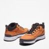 Timberland Field Trekker Low - Pánské nízké turistické boty | Hardloop
