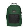 Bristle Green