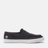 Black Canvas