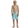 Quiksilver Surfsilk Scallop - Boardshorts - Bambino | Hardloop