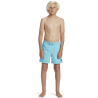 Quiksilver Everyday Solid Volley - Boardshorts - Kind | Hardloop