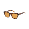 Brown Tortoise / Brown
