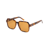 Brown Tortoise / Brown