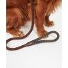 Barbour Tartan Leash - Guinzagli per cani | Hardloop