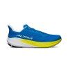 Blue / Yellow