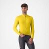 Mango Mojito / Dark Gray