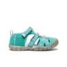 Bright Aqua / Pink-A-Boo