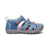 Coronet Blue / Hot Pink
