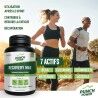 Punch Power Recovery Max Poudre 280 g - Energy drink | Hardloop