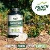 Punch Power Recovery Max Poudre 280 g - Energy drink | Hardloop