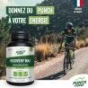 Punch Power Recovery Max Poudre 280 g - Energy drink | Hardloop