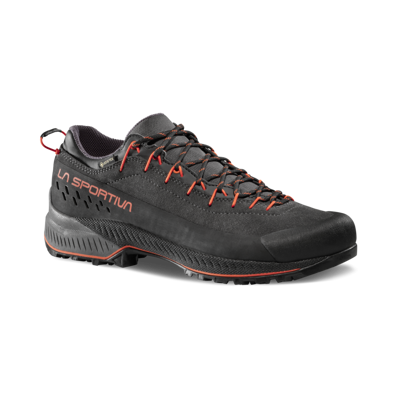 TX4 Evo GTX - Chaussures approche homme