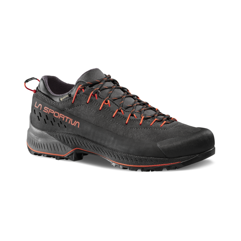 TX4 Evo GTX - Chaussures approche homme