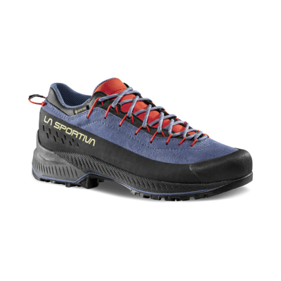 TX4 Evo Woman GTX - Approach shoes - Women's