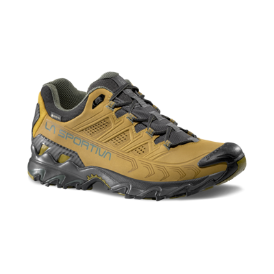 Ultra Raptor II Leather GTX - Chaussures randonnée homme