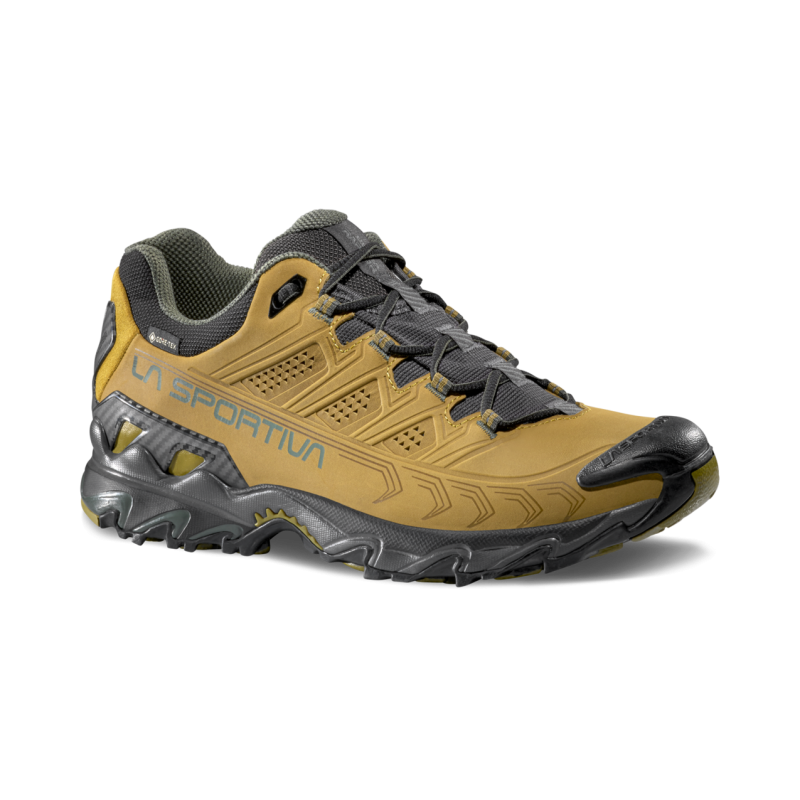 Ultra Raptor II Leather GTX - Chaussures randonnée homme