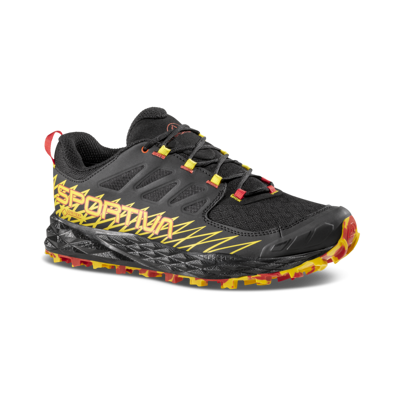 Lycan GTX - Buty trailowe meskie