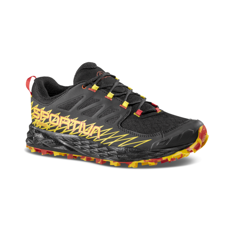 Lycan GTX - Chaussures trail homme