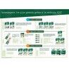 Punch Power Speedtonic Menthe x 6 - Zel energetyczny | Hardloop
