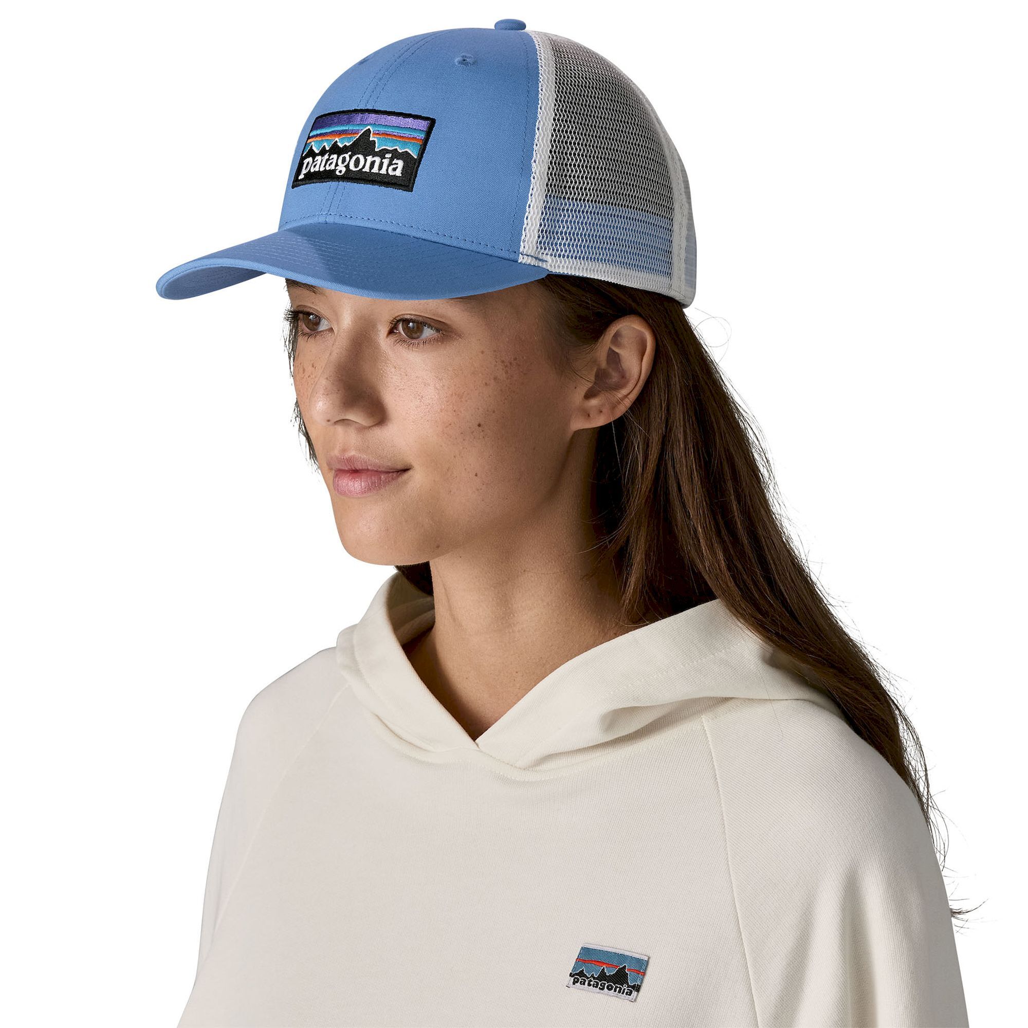 Patagonia P-6 Logo LoPro Trucker Hat - Cap