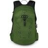 Green Belt / Black