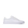 White / White