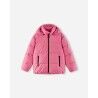 Soft Coral