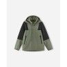 Greyish Green