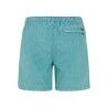 Protest Prtraptor - Swim shorts | Hardloop