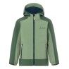 Willow Green / Dark Sea