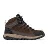 Cordovan / Granite Purple