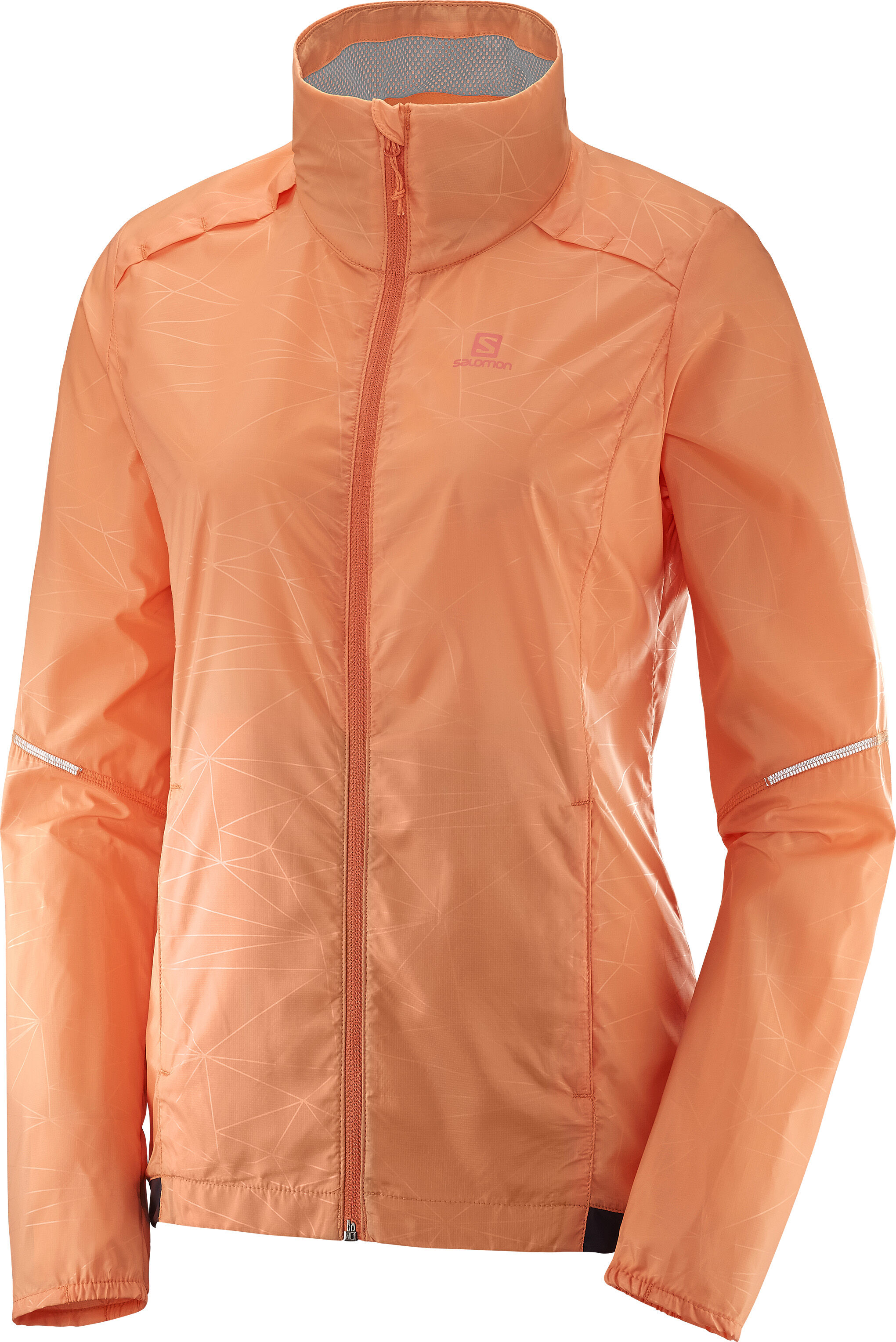 Veste salomon clearance agile wind